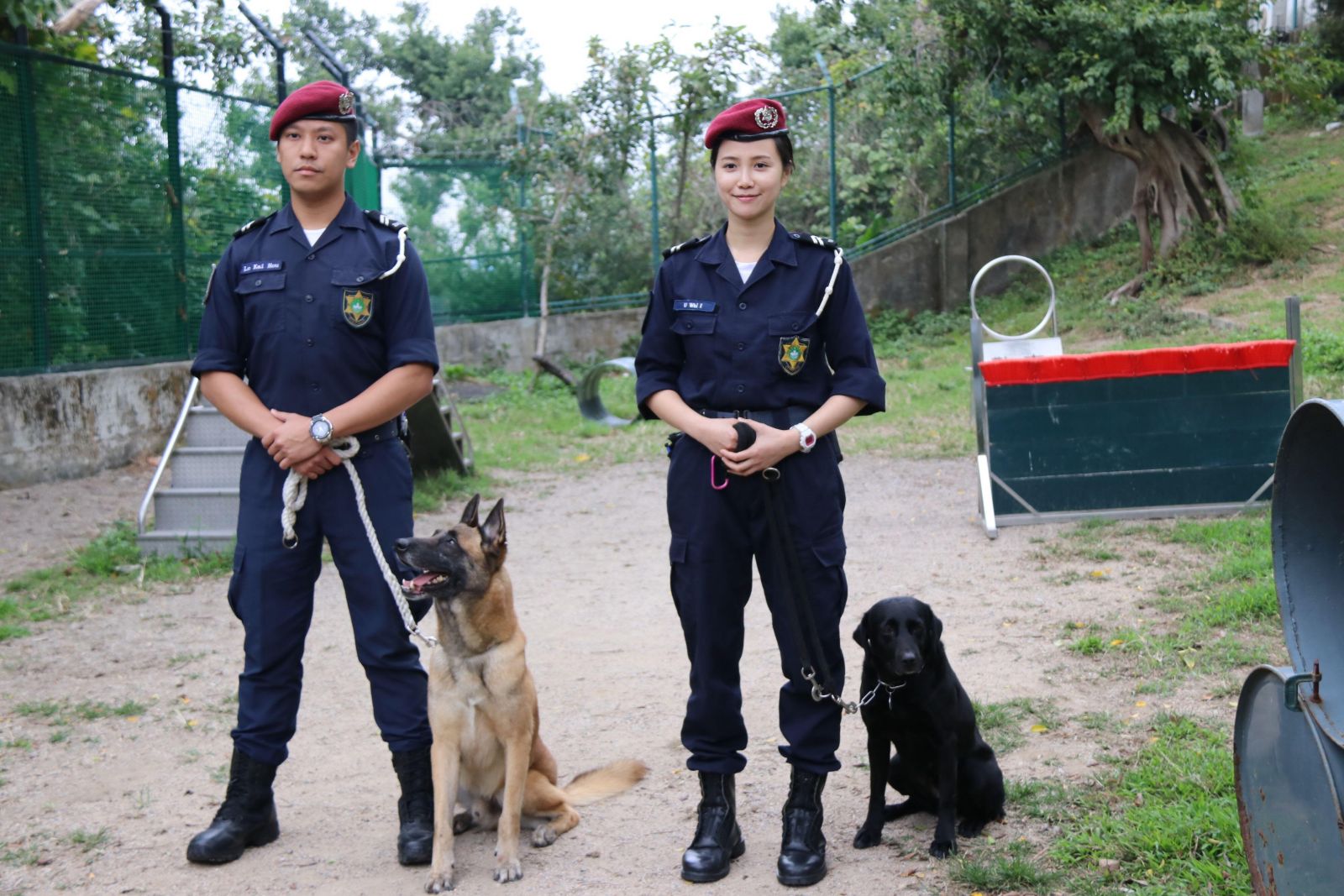 警犬队展示各样功能和演练