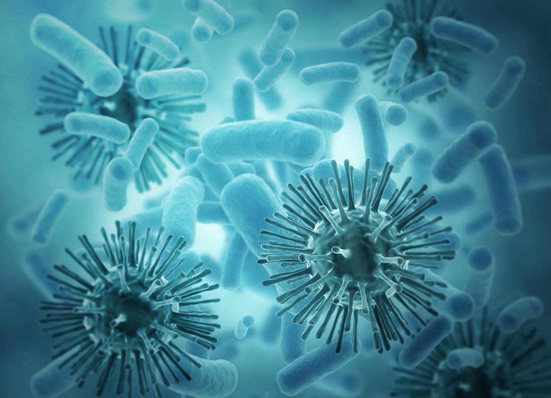 黑死病或将重见天日