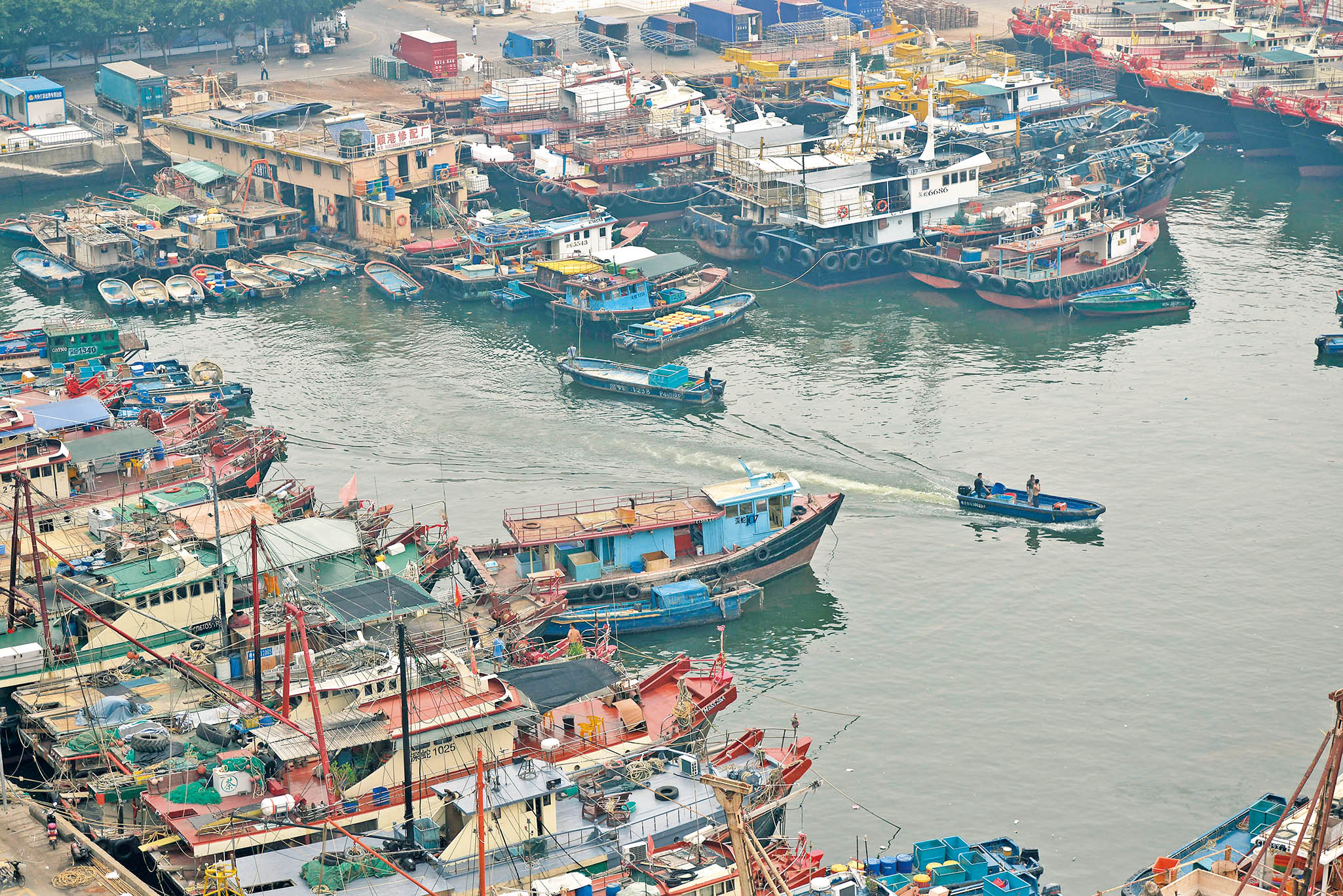 台风「妮妲」来袭前,昨日深圳不少渔船驶进蛇口渔港停泊避风.