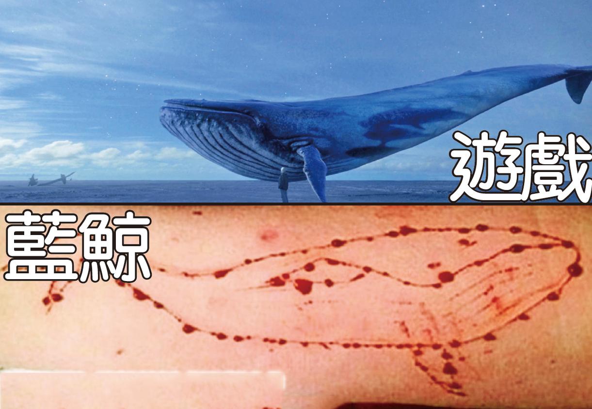 即时新闻 「蓝鲸」幕后主脑被捕 恐怖游戏玩残自己 25/05/2017 46699