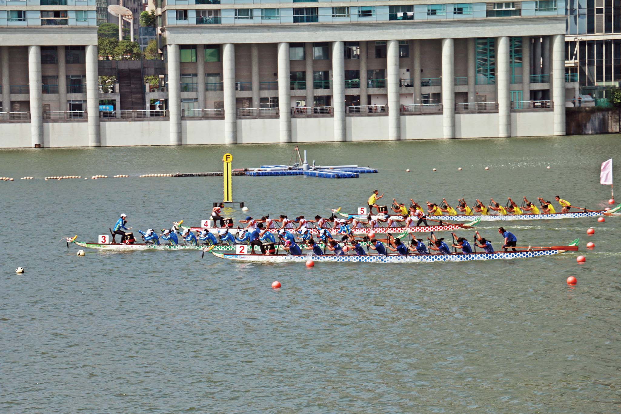 国际龙舟赛圆满落幕