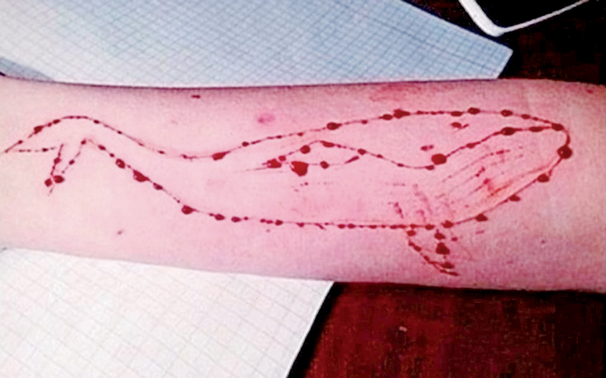 22岁俄罗斯青年布德金去年11月被捕,西伯利亚法院周三判处他监禁三年