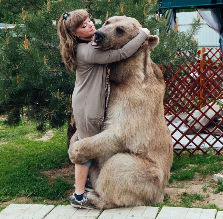 300磅巨熊打波淋花样样掂