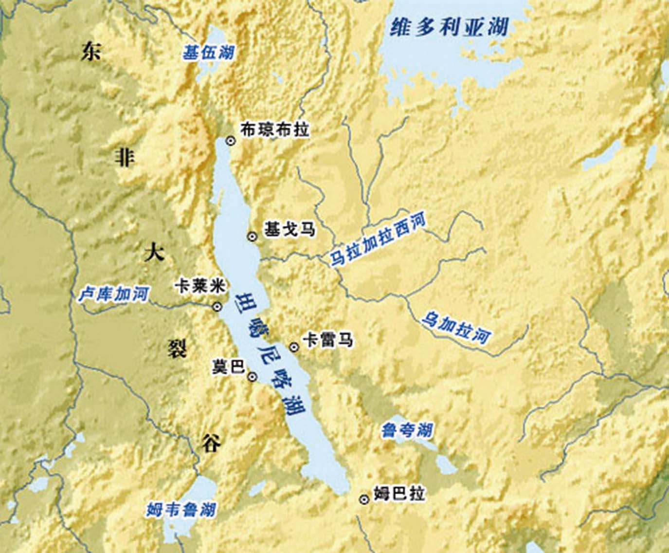 锦鲤荷花绝迹 非洲鰂池中称霸