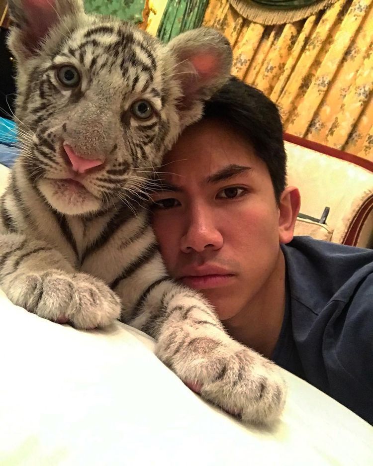 【万人迷】汶莱四王子文武双全