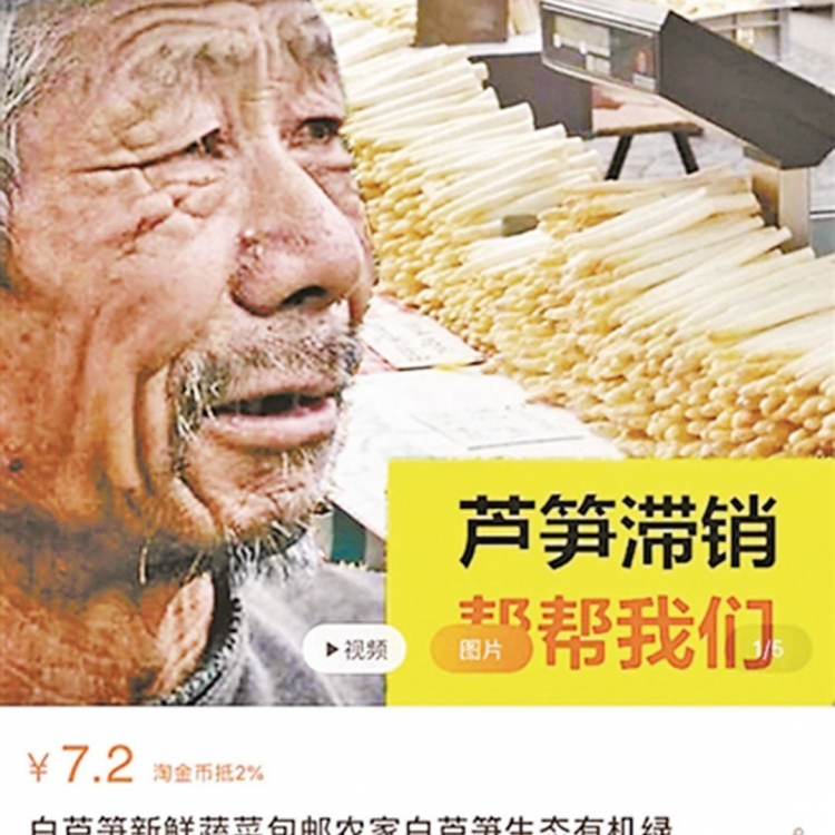 台阿伯拾到一银赃款 未即时报案被质疑-澳门力报官网